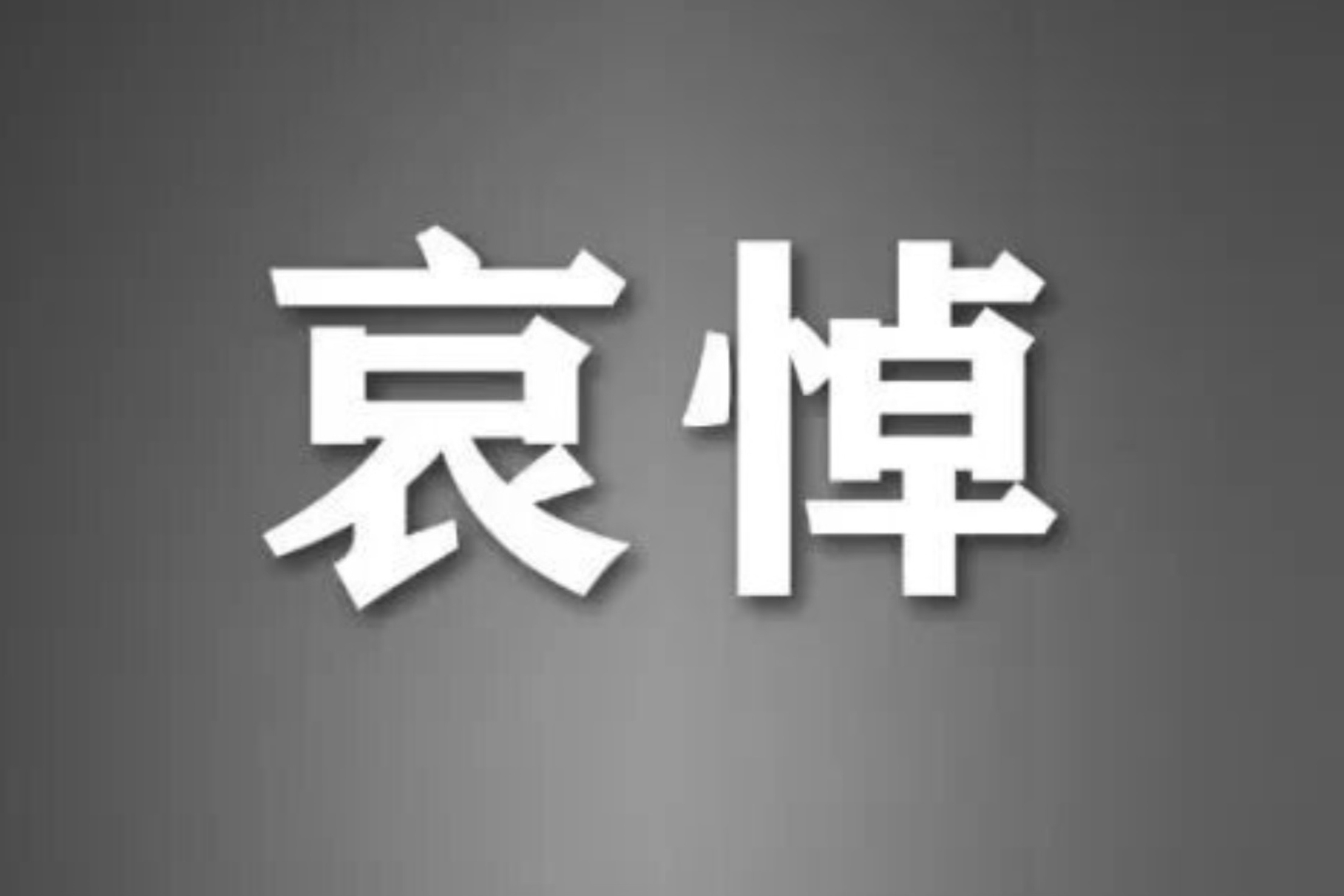 刘延东同志逝世