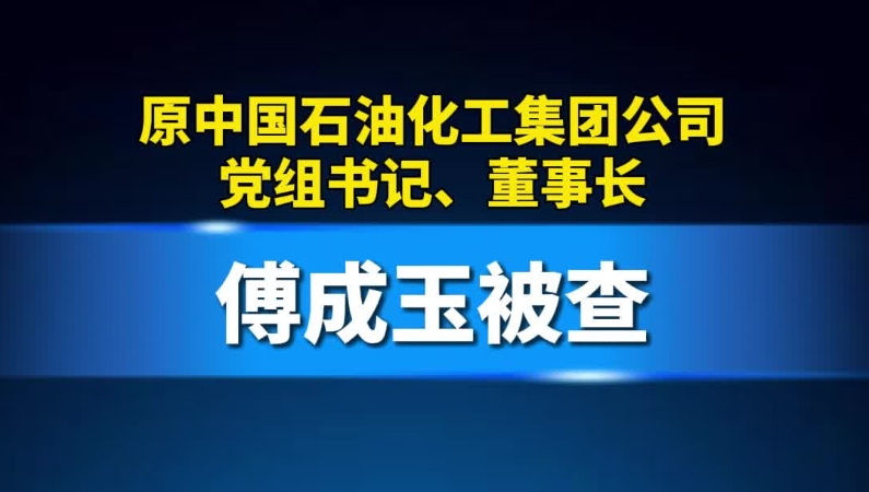 原中国石油化工集团公司党组书记、董事长傅成玉被查